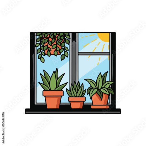 A sunny window with potted plants on the sill