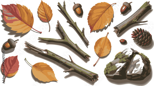 Autumn leaves and branches with acorns and pinecone on mossy rocks