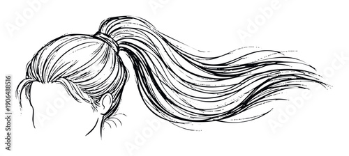Dynamic sketch of a womans long flowing ponytail, depicting movement and style, perfect for beauty product packaging, hair care advertisements, or fashion magazine layouts.