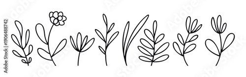 Hand drawn minimalist botanical outlines of diverse flora and delicate plant stems, suitable for organic graphic projects, spring themed designs, invitation decorations, or natural product