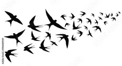 Flock of Swallows in Flight illustration