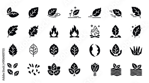 Extensive glyph icon set featuring various leaves symbolizing nature, organic products, growth, and environmental protection, ideal for ecofriendly branding, wellness applications, and