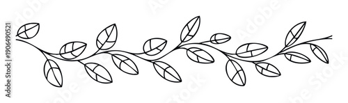 Elegant botanical branch with delicate line drawn leaves creating a horizontal decorative element perfect for adding natural flair to various graphic projects and printed materials