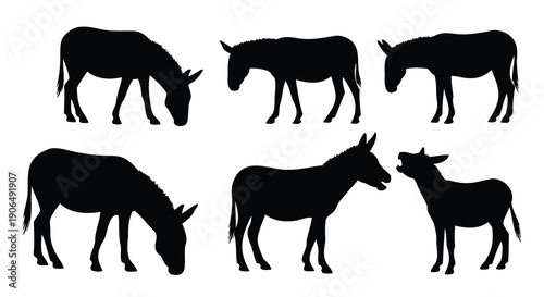Set of six black silhouette donkey illustrations animal