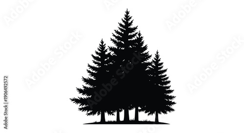 Silhouette of coniferous trees against a stark white background