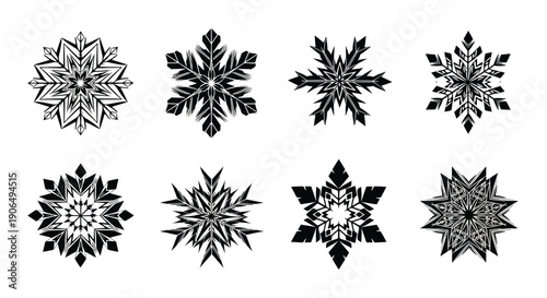 Variety of intricate black snowflake designs arranged on a white background