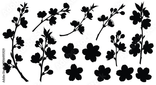 Silhouettes of blooming cherry blossom branches and flowers