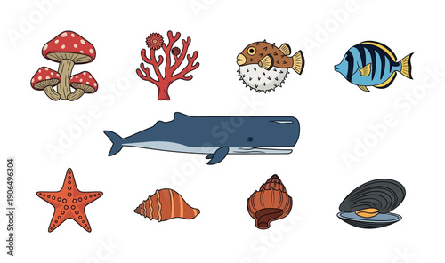 Variety of sea creatures and natural elements including a large whale, pufferfish, striped fish, starfish, seashells, red coral, and mushrooms, suitable for educational content.
