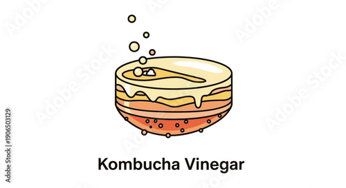 Kombucha Vinegar Label Illustration