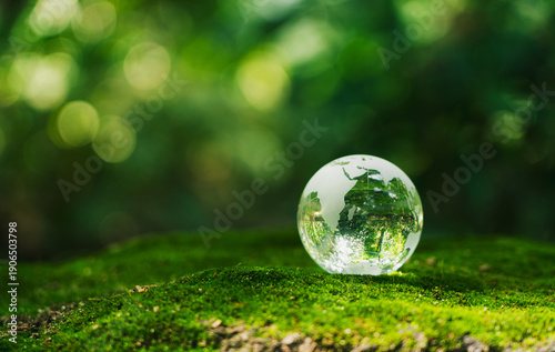 Bilde på lerret Crystal earth in forest Environment, save world, earth day and conservation and renewable energy concept