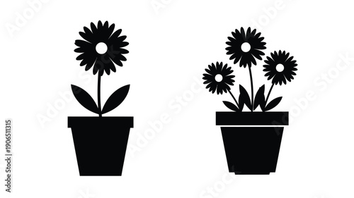 Black floral arrangements in pots a striking silhouette