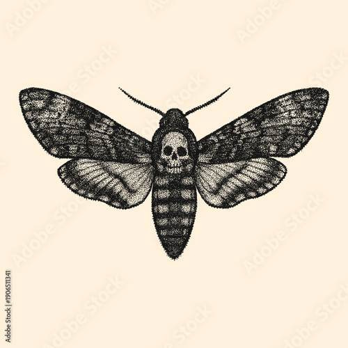 Death Moth Vintage Engraving Gothic Insect Vector Illustration Isolated