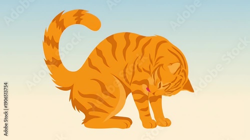 Orange tabby cat grooming its paw on a simple background