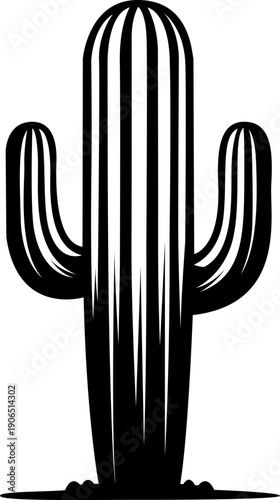 vector illustration of a desert cactus