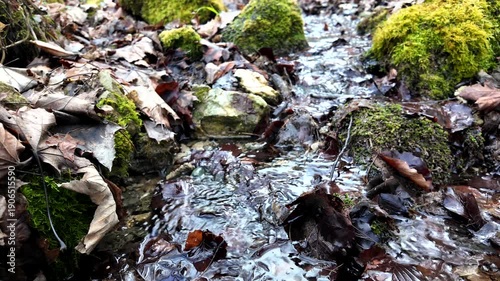 A small, clear stream flows quickly over rocks covered in vibrant green moss and dark, wet autumn leaves. The movement of the water creates gentle ripples in a serene woodland setting.