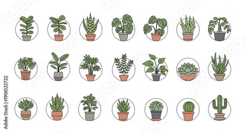 Collection of potted houseplants in circular frames.