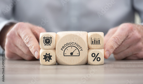 Concept of productivity