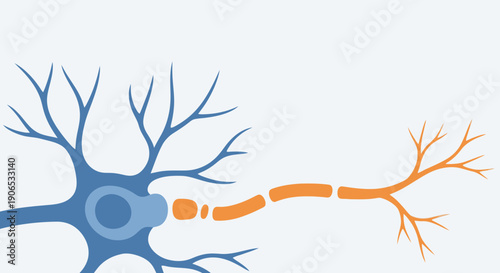 Illustration of a neuron with dendrites and axon terminals.