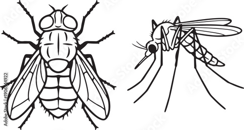 Line art illustration of a fly and a mosquito