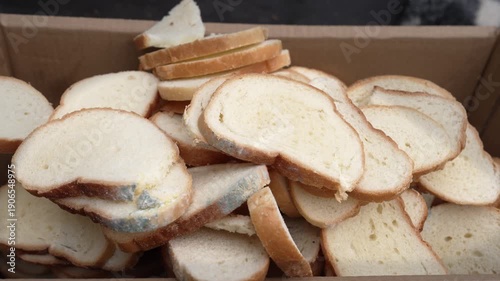 Food waste bread disposal concept