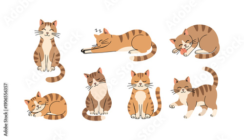 Cute Cartoon Cat Character Illustration Set Showing Various Sleeping Sitting And Playing Poses