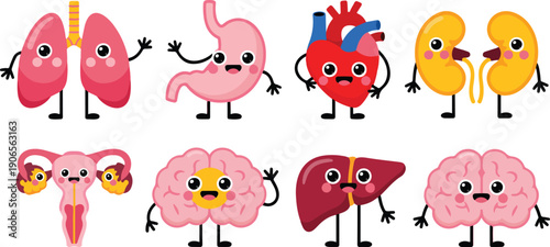 Cute Human Internal Organs Vector Set Heart, Brain, Lungs & More