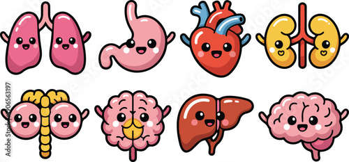 Cute Human Internal Organs Vector Set Heart, Brain, Lungs & More