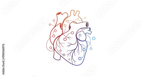 Anatomical heart illustration with vibrant colors and abstract elements, showcasing a detailed medical diagram, Whisk eps reference