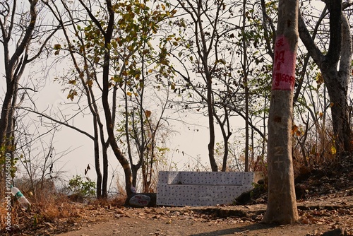 Canvas Print A concrete structure covered with patterned tiles is set amidst a wooded area with sparse trees and dry foliage