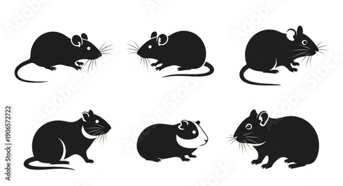 Collection of six different rodent silhouettes in black and white.