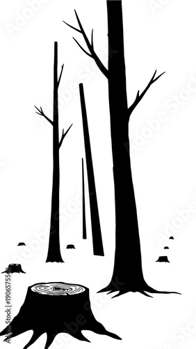 Deforestation and dead forest silhouette background with cut tree stumps and broken trunks