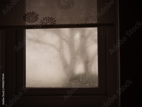 Trees on dreary miserable foggy day view through misty window 