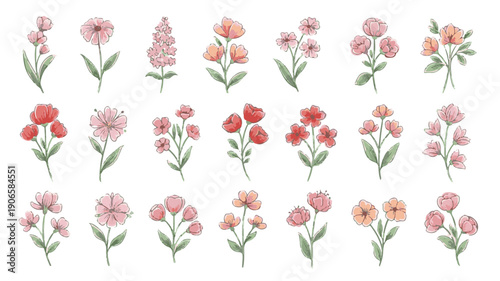 Hand drawn dainty floral elements collection with soft colors and ink outlines isolated on white