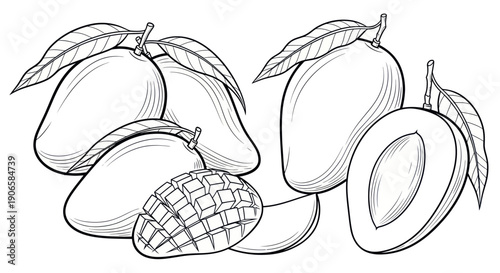 Fresh Mangoes Illustration: Whole, Sliced, and Diced Tropical Fruits with Leaves