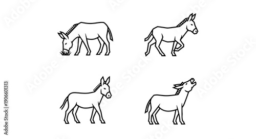 Donkey silhouette set with grazing walking standing and braying farm animal vector collection