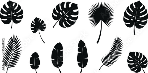 Set of Tropical and Temperate Leaf Silhouettes Featuring Monstera, Palm, Maple, Oak, and Four-Leaf Clover for Seasonal Design