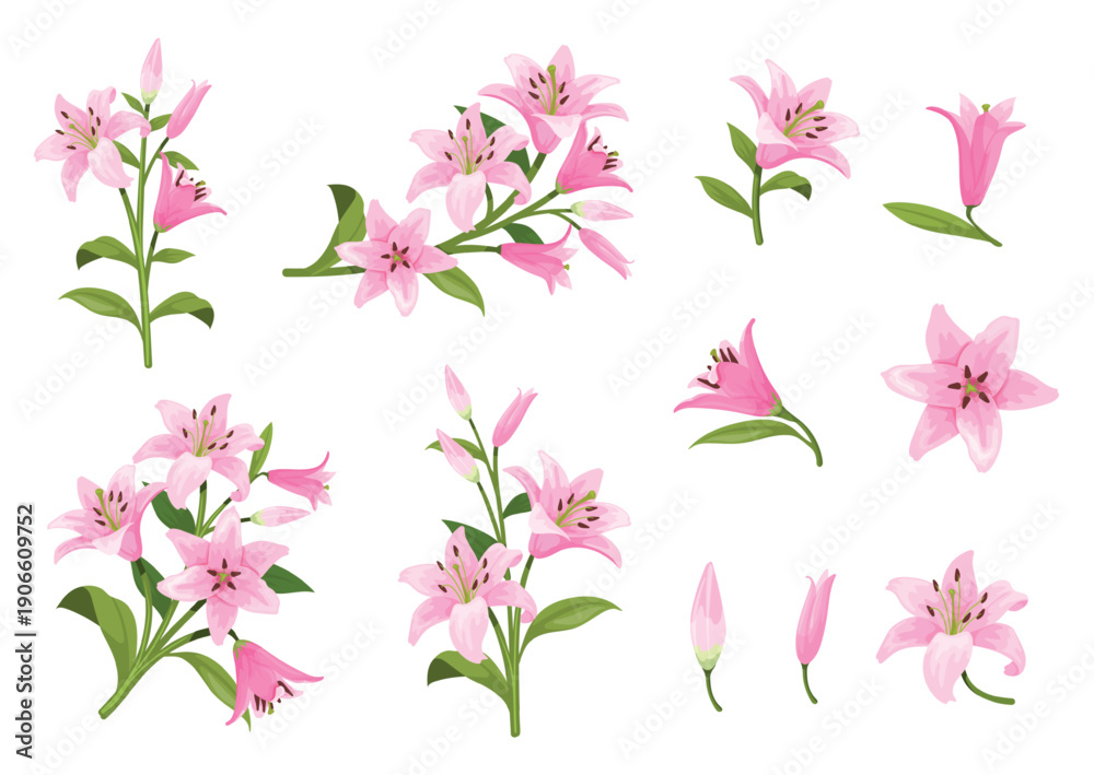 Obraz premium Cartoon pink lilies. Lily pink flower on green stem branch, lilium garden flowers arrangements wedding bouquet spring floral decoration isolated bloom bud, neat vector illustration