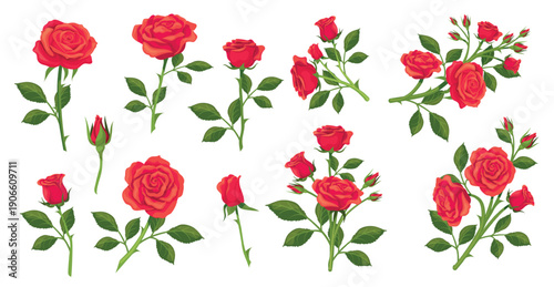 Cartoon roses stem. Red rose stalk branch, garden bloom flower unopened bud queen flowers bouquet with green leaves thorn isolated floral set romantic gift neat vector illustration