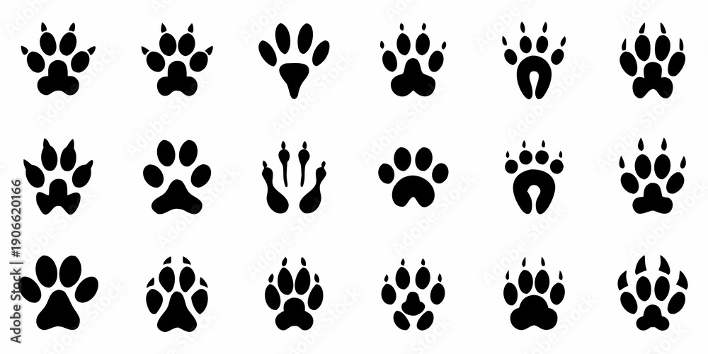 Fototapeta premium Collection of diverse animal footprints in a black and white arrangement