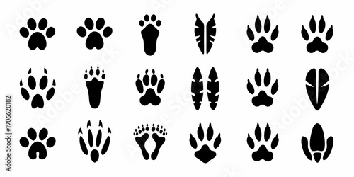 Collection of animal footprints dog cat bird and other species
