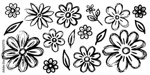 Sketch of several delicate flowers with flowing artistic lines