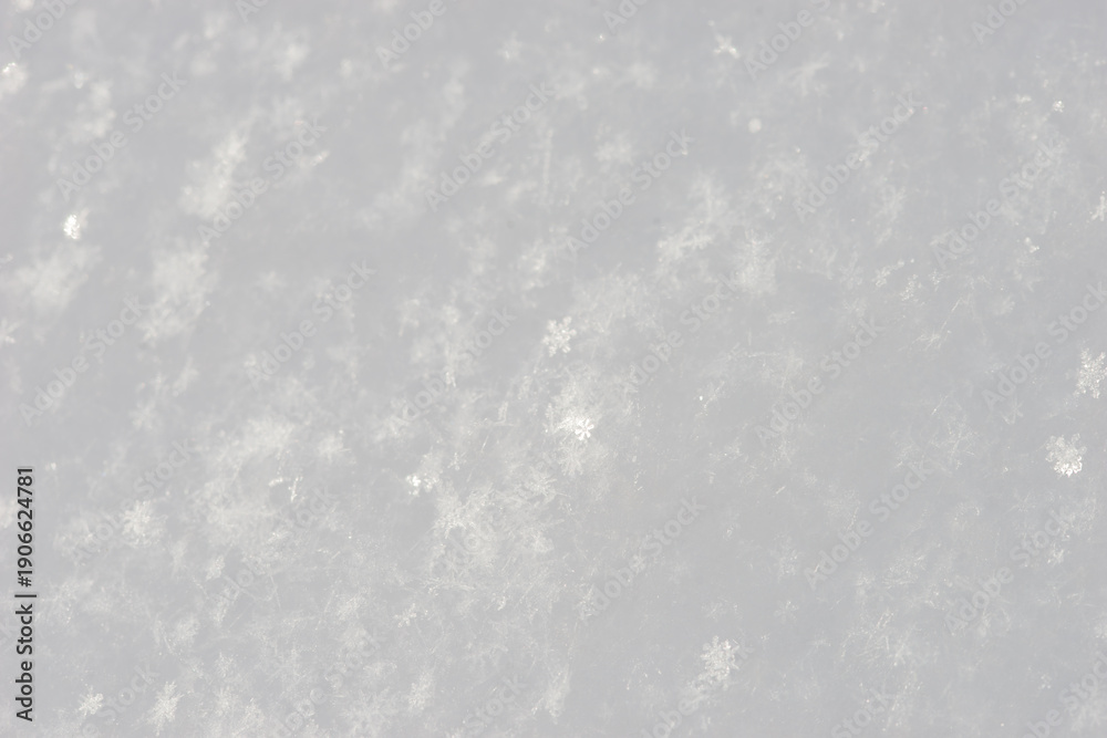 Fototapeta premium Beautiful close-up of snow texture