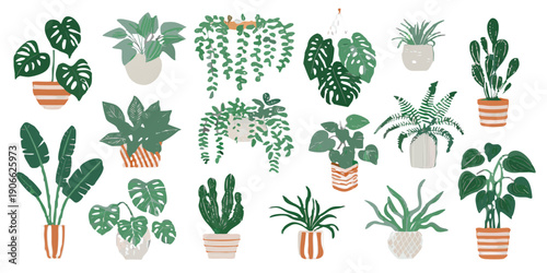 A collection of various potted houseplants against a dark background
