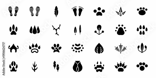Collection of various animal footprints leaves and abstract symbols