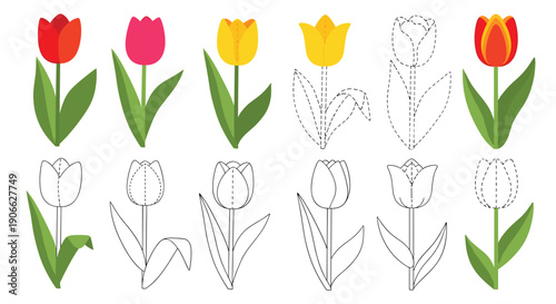 A vibrant array of tulip illustrations features fully colored red, pink, and yellow flowers alongside black outline versions and dotted tracing examples arranged horizontally.