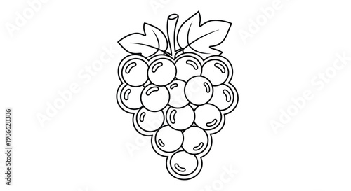 A simple black and white outline drawing depicting a luscious bunch of grapes with individual berries and two attached leaves, presented on a white background.