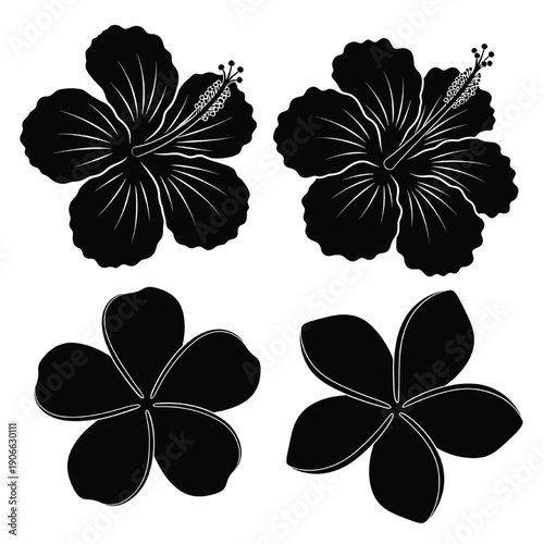 Illustrations of various hibiscus flowers and plumeria flowers in different styles from a direct viewpoint