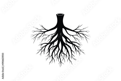Intricate tree root system black silhouette isolated on white background showing underground network structure