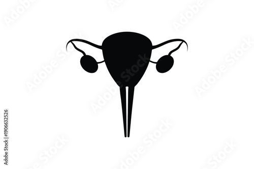 Female reproductive system uterus and ovaries silhouette illustration on white background anatomical diagram art