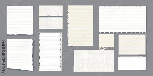 Collection of torn and ripped lined notebook paper scraps